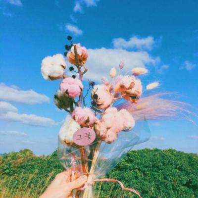 6566体育手机app下载